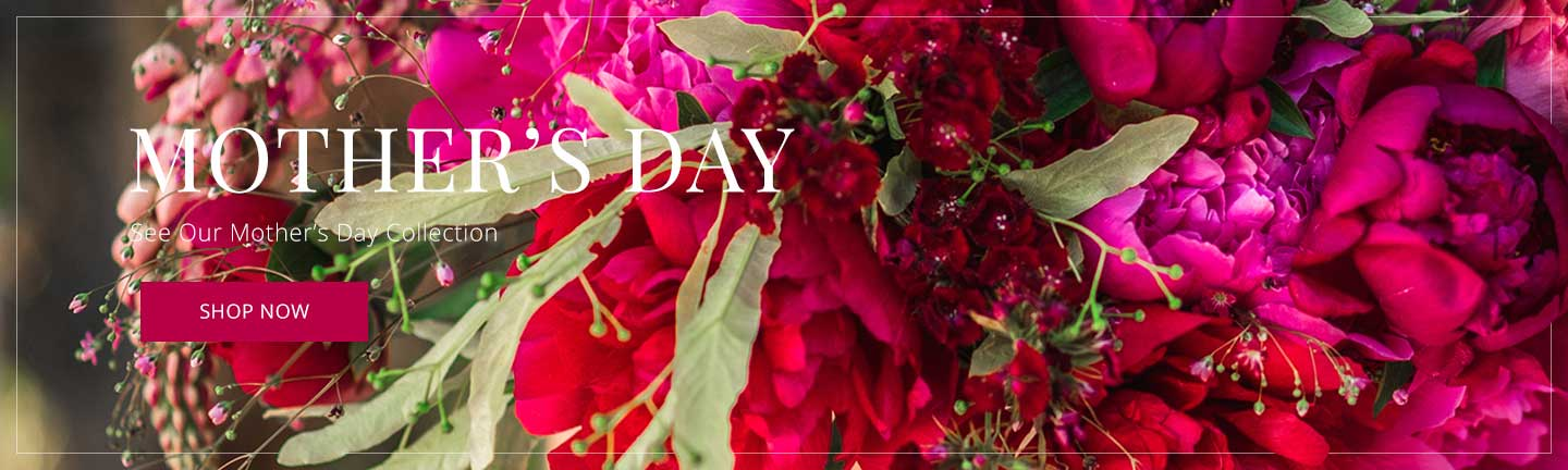  banner for Default Store View